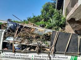 Best Attic Cleanout  in Jamestown, OH